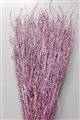 birch cerise